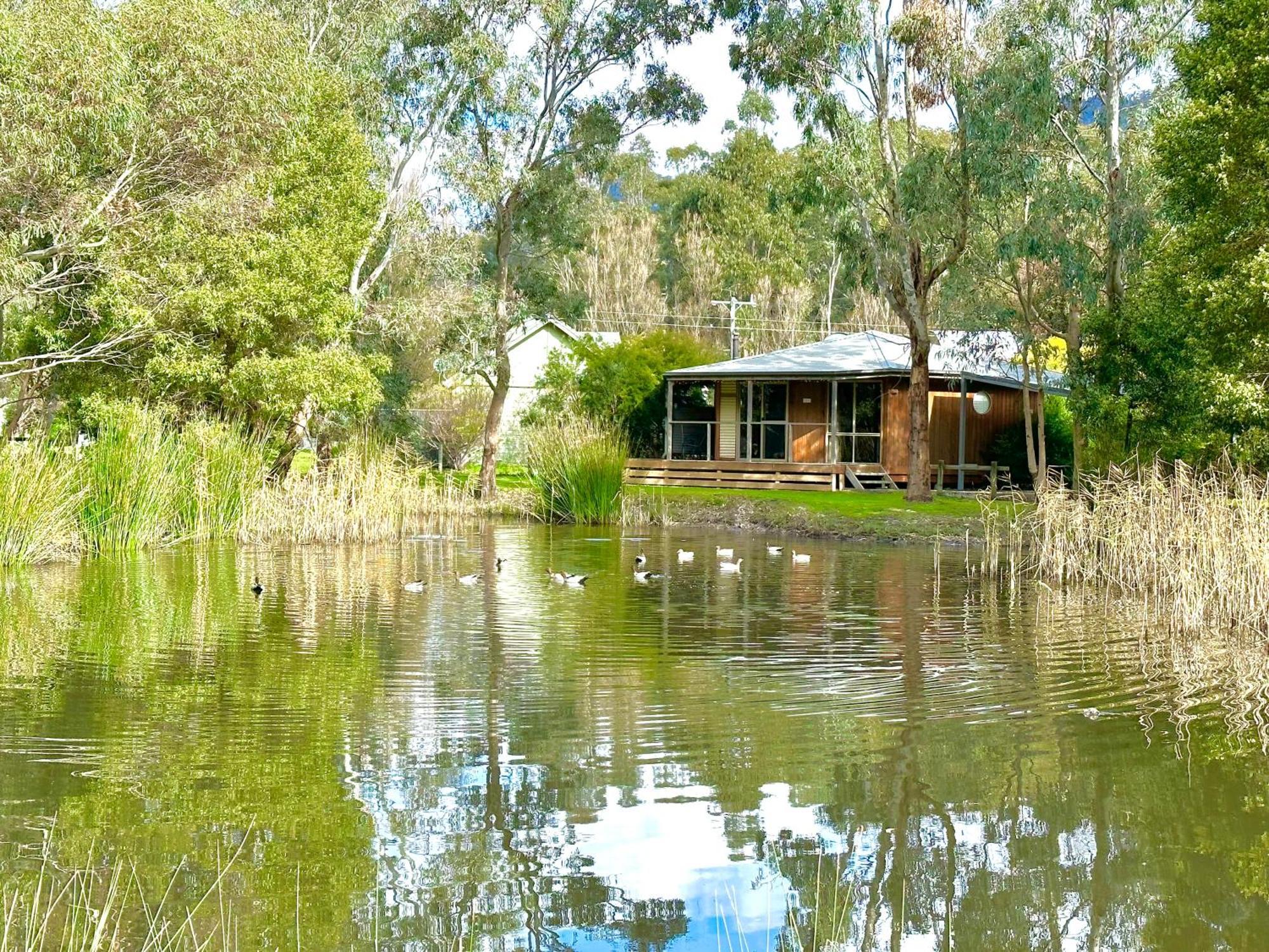 Grampians Chalets Halls Gap Exterior photo